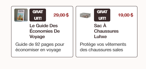 Free gifts promotion - Le Guide Des Économies De Voyage and Sac À Chaussures Luhxe