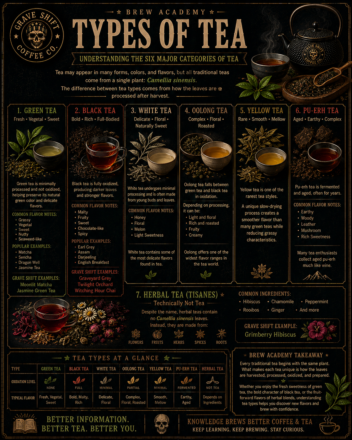 Brew Academy: Types of Tea — Understanding the Six Major Categories of Tea